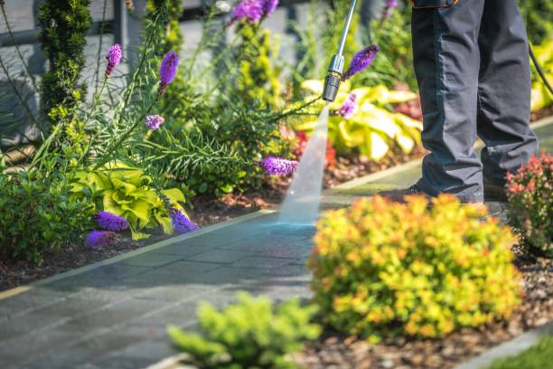 Best Patio and Deck Pressure Washing  in Lima, PA
